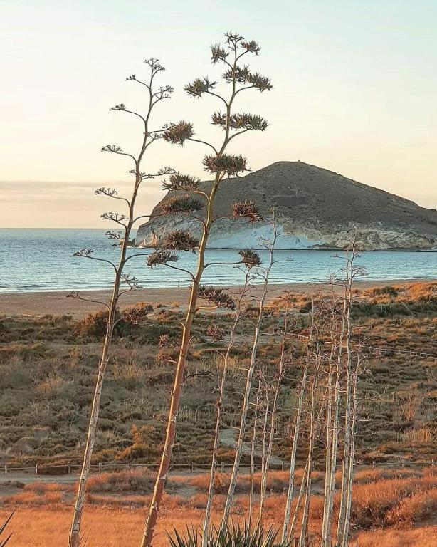 Exclusiva Casa Con Encanto En Agua Amarga Agua Amarga  Buitenkant foto